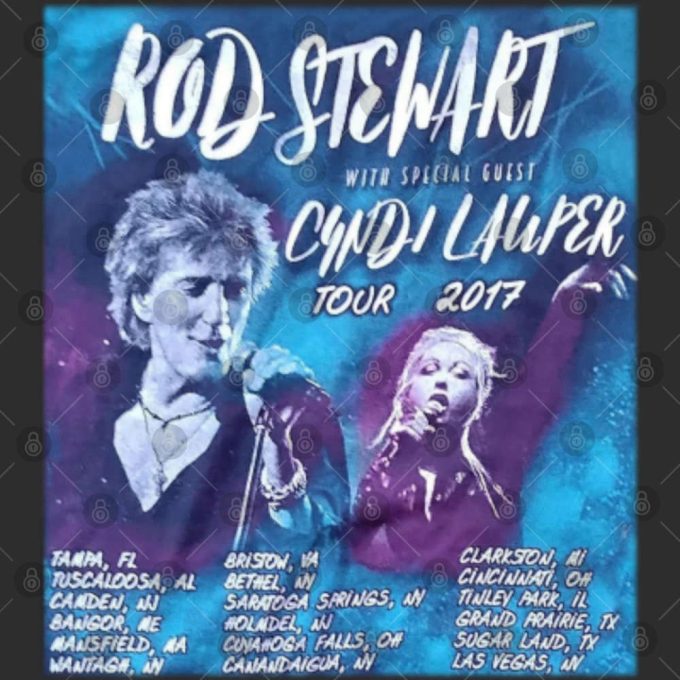 Rod Stewart With Special Guest Cyndi Lauper Tour 2017 Black T-Shirt Vintage 2000S Fruit Of The Loom, 6
