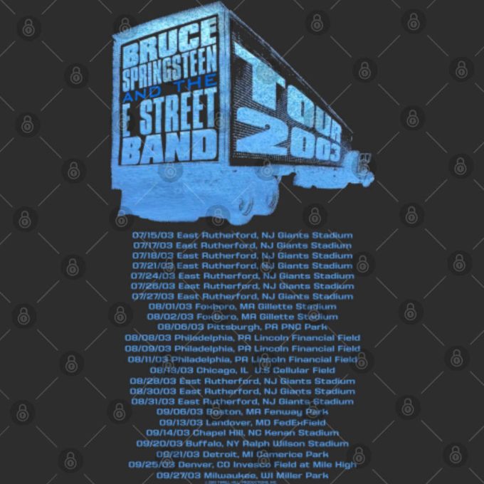 Vintage Bruce Springsteen And The E Street Band 2003 Tour Rock Music Tshirt 6