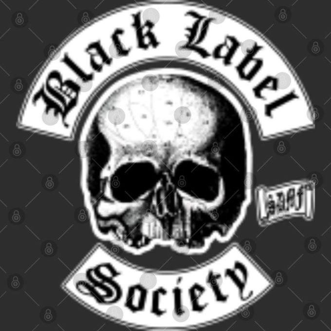 Black Label Society Skull Logo Pocket T-Shirt: Unisex Black Tee (Back Print) 3