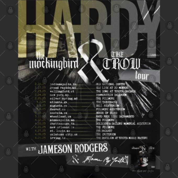 Hardyy Double Sided T Shirts: Mockingbird And Crow Tour – Unique Stylish Designs 4