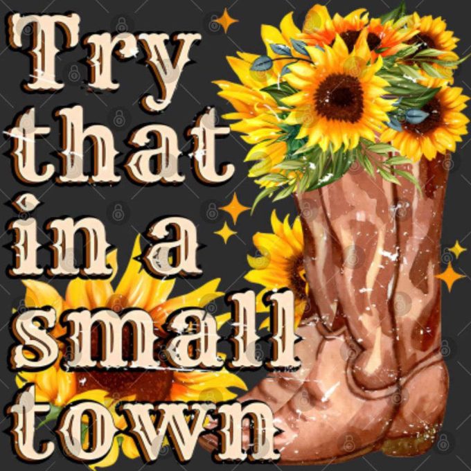 Jason Aldean T-Shirt: Try That In A Small Town - Country Music Tee 4