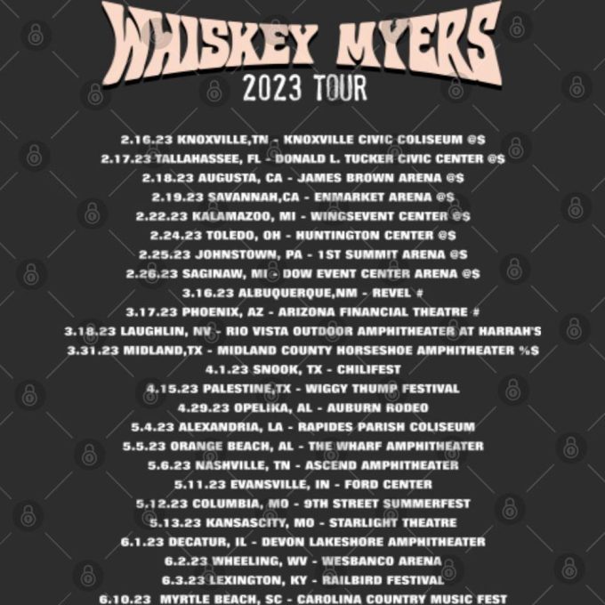 Vintage Whiskey Myers Shirtgift For Men And Women 4