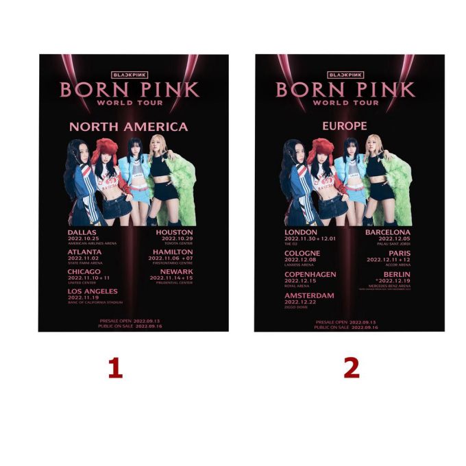 2022 Halloween Blackpink Born Pink Album Poster 2