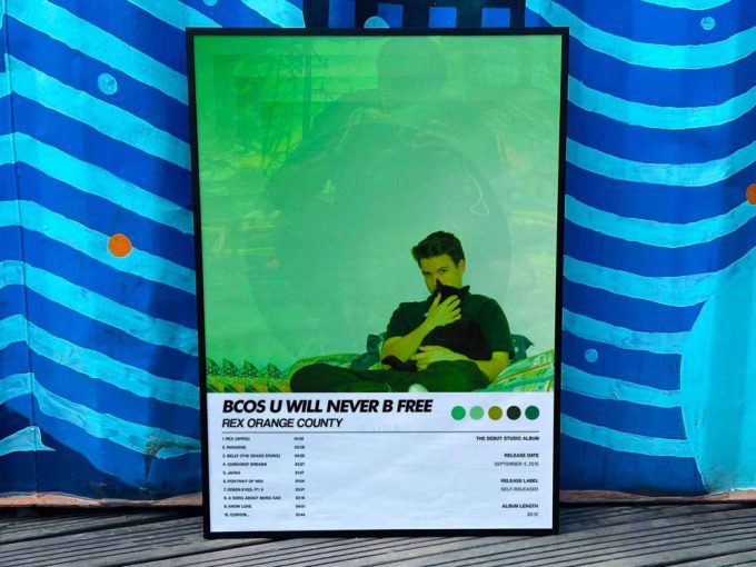 Rex Orange County &Quot;Bcos U Will Never B Free&Quot; Album Cover Poster #6 2