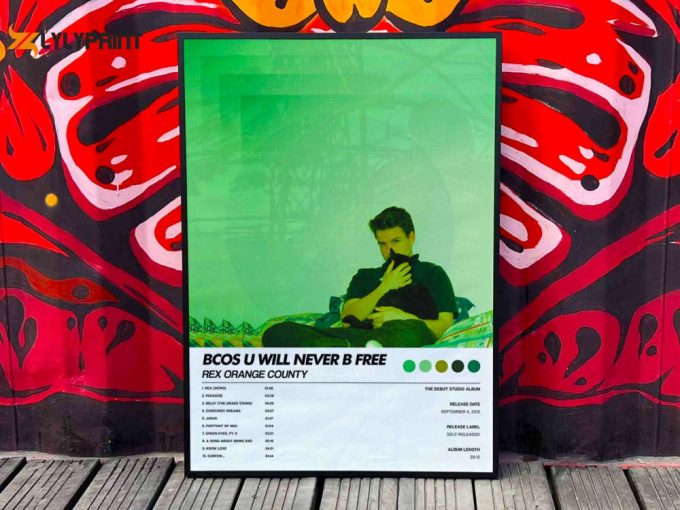 Rex Orange County &Amp;Quot;Bcos U Will Never B Free&Amp;Quot; Album Cover Poster #6 1