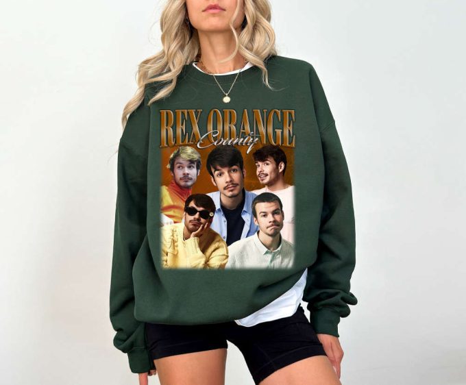 Rex Orange T-Shirt Rex Orange Shirt Rex Orange Tees Rex Orange Sweater Trendy Sweatshirt Couples Shirt Tee Cute 3