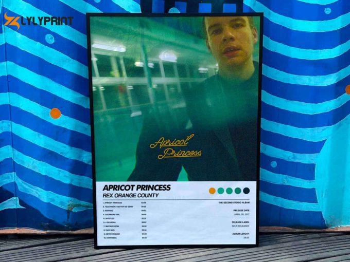 Rex Orange County &Amp;Quot;Apricot Princess&Amp;Quot; Album Cover Poster #6 1